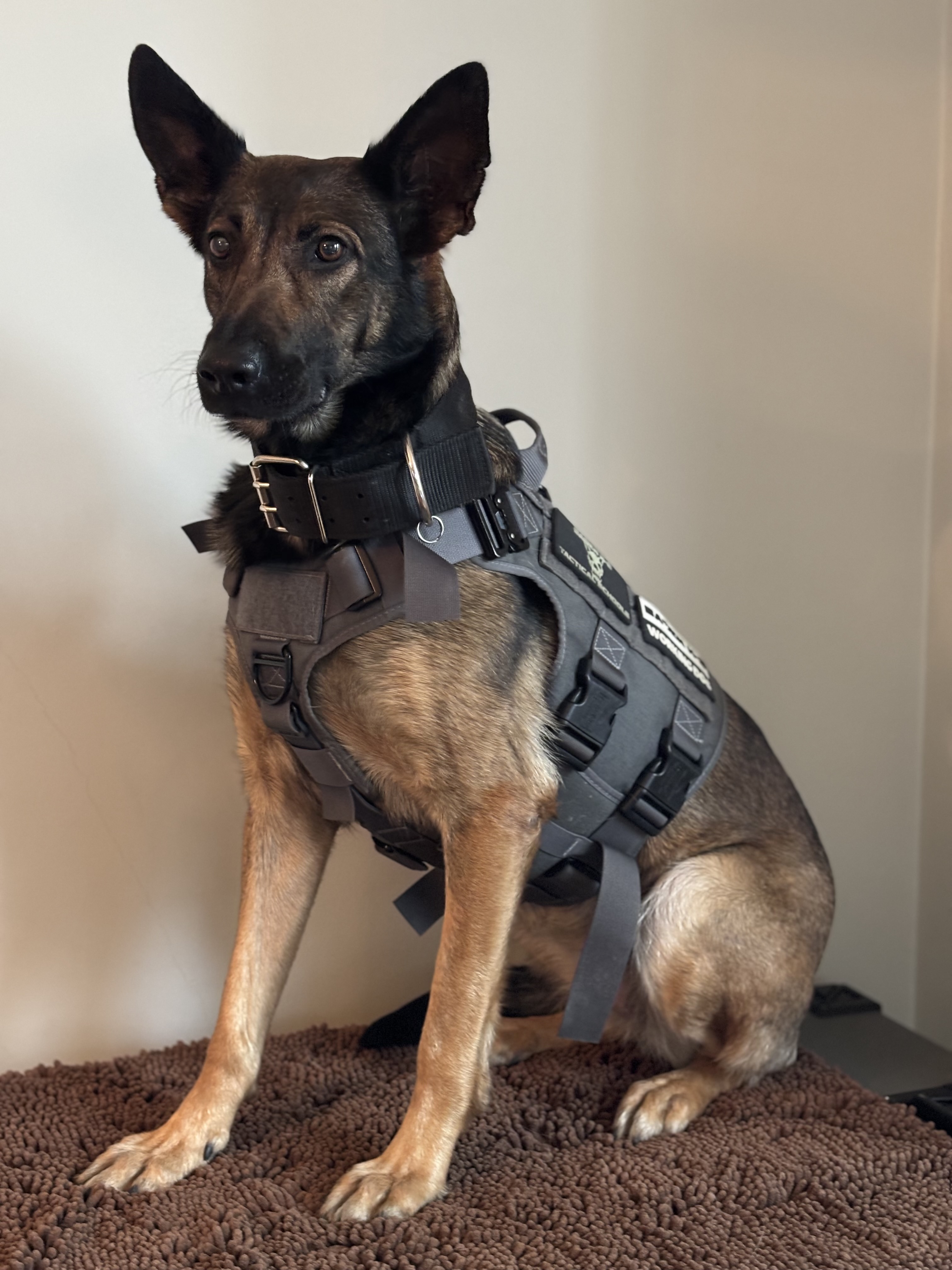 Kato